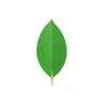 MongoDB