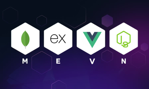 MEVN Stack Developer